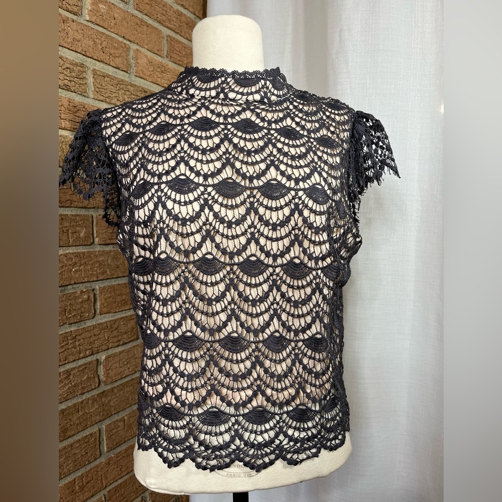 She + Sky Lace Top Gray Nude Scalloped Mock Neck Cap Sleeve Blouse L